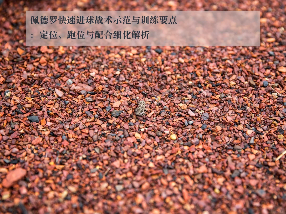 佩德罗快速进球战术示范与训练要点:定位、跑位与配合细化解析